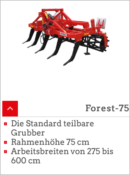 Forest 75
