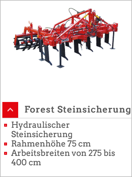 Forest Steinsicherung